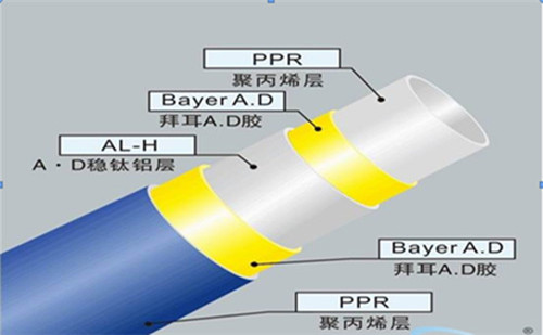 穩態（tài）管（guǎn）